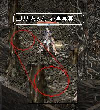 http://www.intmax.jp/erika/586169_photo0%5B1%5D.jpg